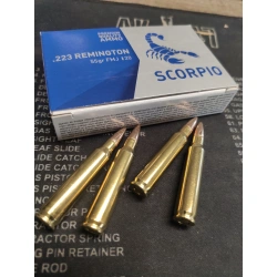 Amunicja 223 REM STV 55gr FMJ op.20
